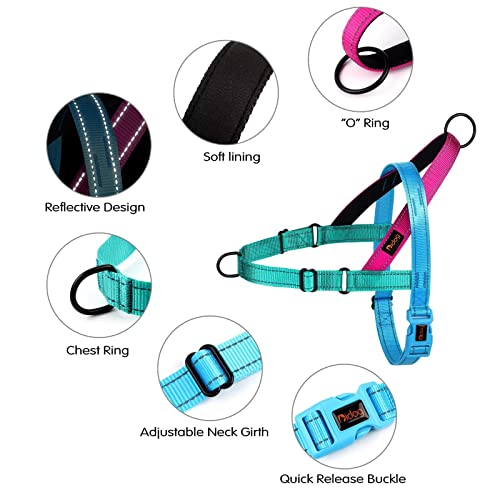 Didog No Pull Dog Harness with Soft Padded Handle, Quick Fit & Lightweight Adjustable Vest Harness, Easy for Training Walk...