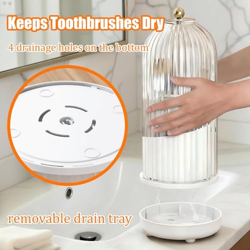 JEESA Toothbrush Holder Organizer, with Drainage Holes, with Dustproof Cover, 360 Rotating, 3 Slots, for Bathroom Countert...