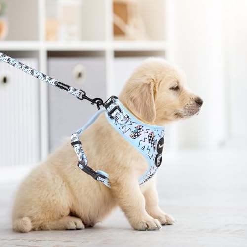 Petmolico Dog Harness and Leash Set Soft Mesh Small Dog Harnesses Vest No Pull Dog Vest Puppy Harness and Leash Set Traini...