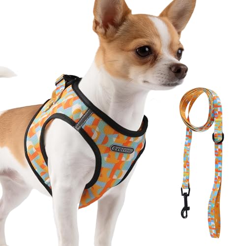 EVERKING Breathable Mesh No-Pull Dog Harness & Leash Set for Small Dogs, Reflective Trim for Safety – Comfortable Vest Des...