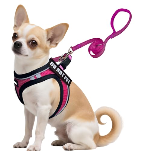 Service Dog Harness Vest Set Emotional Support Small Size Dog- 6PCS Removable Patches -Mesh Puppy Harness and Leash Set Tr...