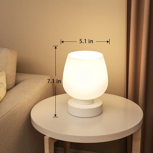 Seealle Touch Table Lamp for Nightstand - Small Bedside Lamp for Bedroom Living Room Night Stands, Desk Lamp with White Gl...