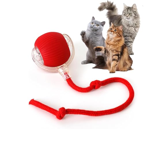 Rocfish Durable Interactive Cat Toys for Indoor Cats, Smart Automatic Cat Chase Ball Toy, Upgraded Speedy Tail Kitten Toy ...