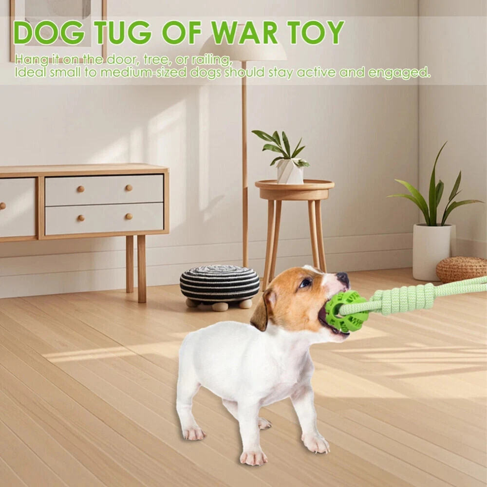 Dog Rope Toys Interactive Dog Bungee Toy With 2Pcs Chewing Rope For Most Dogs AU  Green