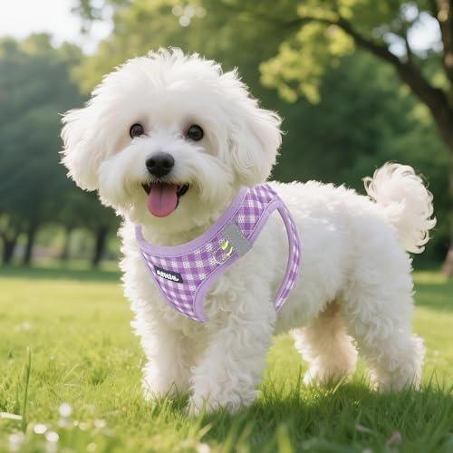 AIITLE Adjustable Dog Vest Harness Set – No-Pull Design, Plaid Print & Reflective Safety– Fits Poodles, Shih Tzus & Mediu...