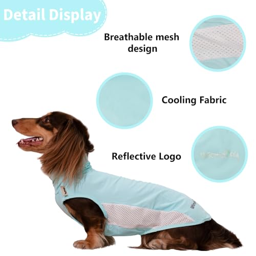 WienieDay Dachshund Dog Cooling Vest, Breathable Summer Dog Cooling & Quick-Dry Shirt for Outdoor Activities,Mini Dachshun...