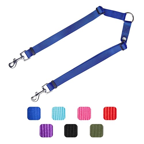 Blueberry Pet Essentials Durable Classic Double Dog Leash Coupler, Royal Blue, Small, Dual Walking & Training Leashes for ...