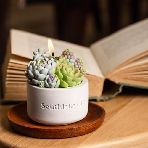 Assorted Succulent Pot Scented Vegetable Wax Candle for Spa Home Decoration Wedding Gift