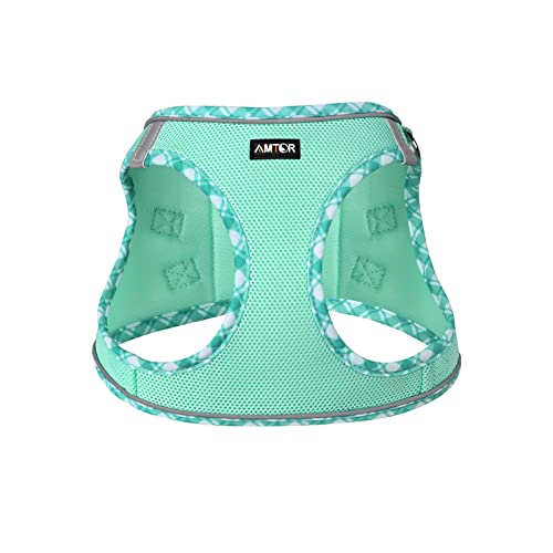AMTOR Small Dog Harness with Leash Set, No Escape Easy Walk Puppy Harnesses for Training Walking, Step-in Reflective Soft ...