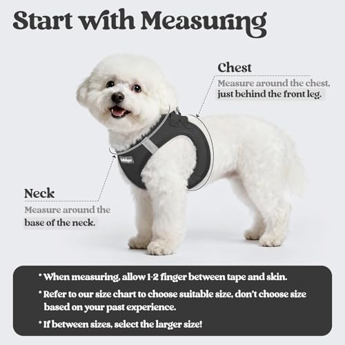 rabbitgoo Dog Harness Small Sized and Leash Set, Step in Soft Light Puppy Vest, Breathable Mesh Pet Harness, Reflective fo...