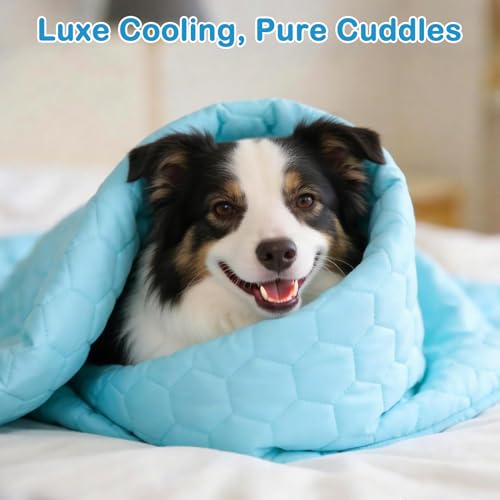 Vivifying Cooling Blanket for Dogs, Reversible Ice Silk Dog Cooling Mat with Waterproof Layer, Soft Pet Throw Blanket for ...