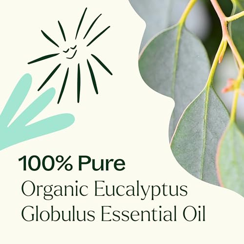 Plant Therapy Organic Eucalyptus Globulus Essential Oils 30 mL (1 oz), 100% Pure, USDA Certified Organic, Undiluted, Natur...
