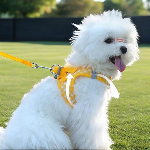 Soft Mesh Dog Harness and Leash Set, Step-in Escape Proof Vest Harnesses, Reflective Breathable Pet Harness Adjustable Pla...