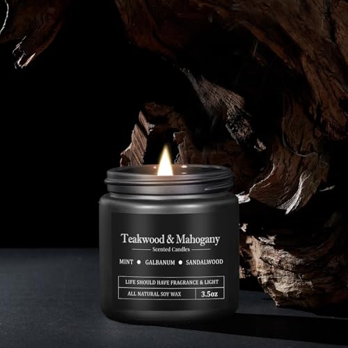 10 Pack Scented Candles for Men, Masculine Candle Gift Set with Woody & Fresh Scents, Soy Wax Aromatherapy Candles for Hom...