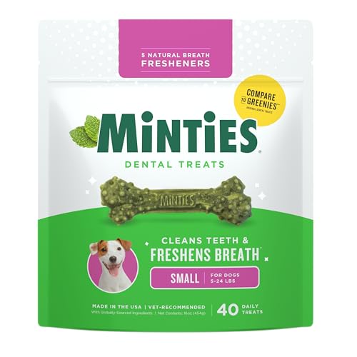 Minties Dog Dental Bone Treats, Tiny/Small Dental Dog Treats, 16 Ounces, Cleans Teeth, Fight Bad Breath, Removes Plaque an...