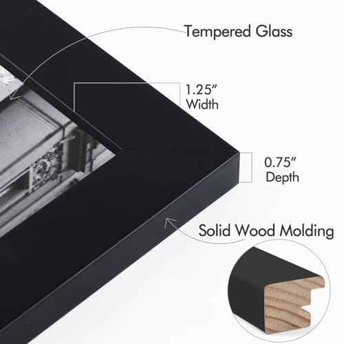 Golden State Art 16x20 Wood Picture Frame with Real Glass and 1.25'' Wide (Black)