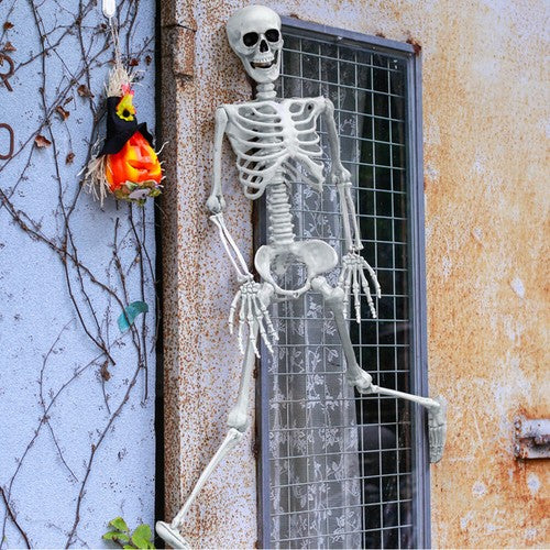 170cm Human Skeleton Life Size Skull Full Body Anatomy Model Halloween Medical