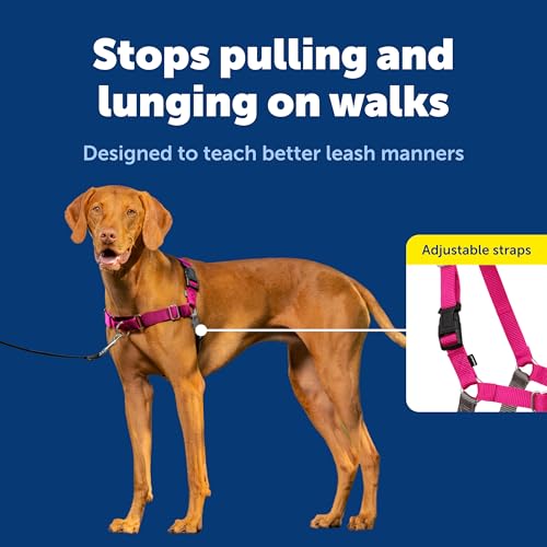 PetSafe Easy Walk Harness for Dogs - Pull-Free Walks - Patented Martingale Loop Design - Front Chest Leash Attachment - Ad...