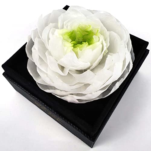 Fresh Cut Flower Preserved Peony for Women Mom Wife Girlfriend - Flower Gift Real Peony Decor for Mother's Day Valentine's...