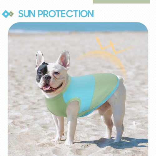 BRKURLEG Dog Cooling Vest, UPF 50+ Sun Protection Dog Cooling Shirts, Breathable Quick Dry Vest for Small to Large Dogs & ...