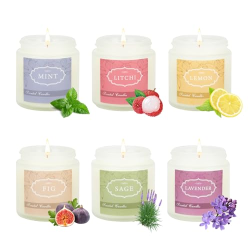 6 Pack Candles for Home Scented,Jar Candles,Lavender Candle,Aromatherapy Candle Gifts Set for Women,Long Lasting Scented C...
