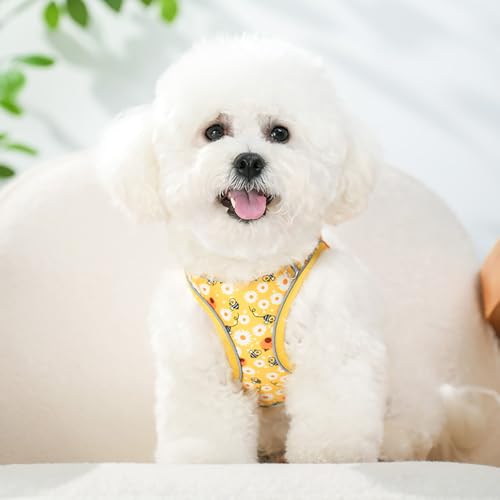 Step in Dog Harness and Leash Set, Flower Adjustable Easy Walk Puppy Harnesses, Soft Mesh Pet Vest Harness Small Size Dog ...