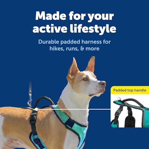 PetSafe EasySport Harness - Durable Padded Fabric, Adjustable Elastic Neckline, Rear-Leash Attachment & Nighttime Reflecti...