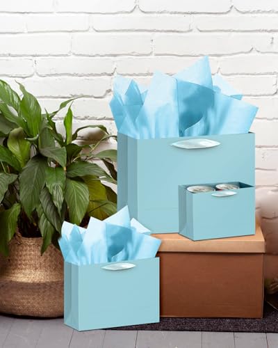 qiqee 10PCS Lake Blue Gift Bags with Ribbon Handles Mulit Assorted Sizes Gift Wide Bags (2pcs Large 13", 4pcs Medium 9.6",...