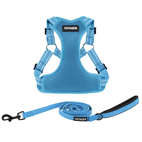 Best Pet Supplies Voyager Adjustable Step-in Flex Breathable Mesh Dog Harness for Small Medium Large Dogs Leash Set (Baby ...