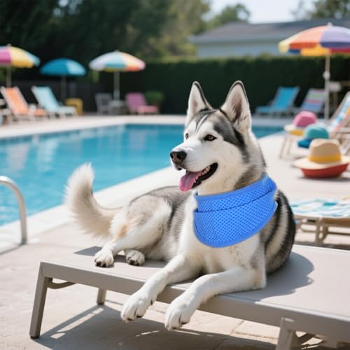 hoyuwak 2 Pack Instant Cooling Dog Bandana Scarf & Vest – Reusable, Adjustable Pet Cooling Bandana for Dogs, Summer Essent...