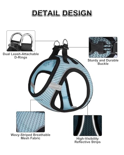 VernAlly Dog Harness Small Sized and Leash Set, Step in Soft Light Puppy Vest, Breathable Mesh Pet Harness Suitable for Pu...