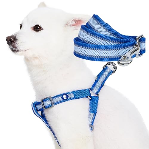 Blueberry Pet Essentials Reflective Back to Basics Matching Dog Harness and Leash Set, Navy Blue, Adjustable Harness with ...