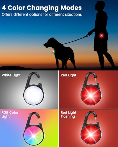 2 Pack Dog Collar Light, 4 Modes Clip On Dog Lights for Night Walking, Glow in the Dark LED Pet Collar Charm, Rechargeable...
