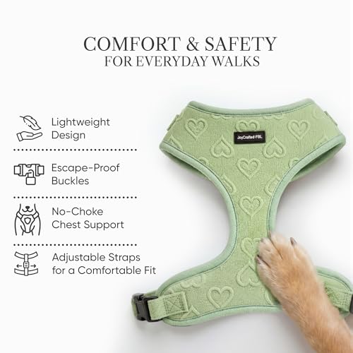 JoyCrafted-FBL No Pull Dog Harness & Leash Set | Lightweight Breathable Neoprene, Cute Heart Pattern, Adjustable Step-in V...