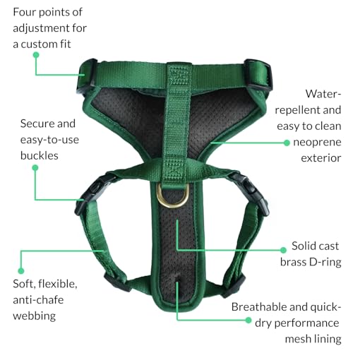 DJANGO Adventure Dog Harness - Stylish and Durable Medium Dog Harness for Outdoor Adventures and Everyday Wear - Forest Gr...