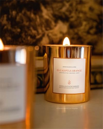 Benevolence LA Eucalyptus Orange Wood Wick Candles | Soy Christmas Scented Candles for Home | Holiday Candle Gifts for Wom...