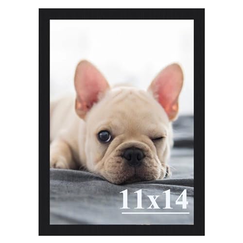 RUN HELIX 11x14 Picture Frame, Wall Gallery Photo Frames,Stable and Sturdy Black Frame with High Definition Plexiglass,11x...