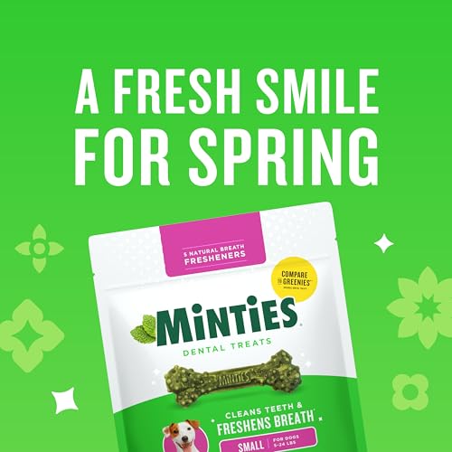Minties Dog Dental Bone Treats, Tiny/Small Dental Dog Treats, 16 Ounces, Cleans Teeth, Fight Bad Breath, Removes Plaque an...