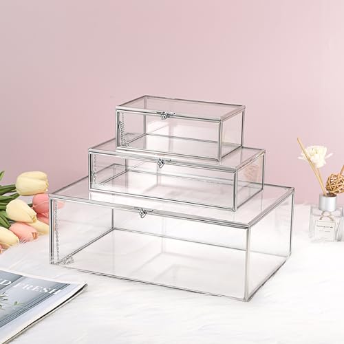 Hipiwe Glass Keepsake Display and Jewelry Organizer With Lid - Silver Decorative Clear Rectangle Storage for Trinket Perfu...