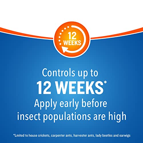 Cutter Backyard Bug Control Spray Concentrate (2 Pack), Kills Mosquitoes, Fleas & Listed Ants, 32 fl Ounce