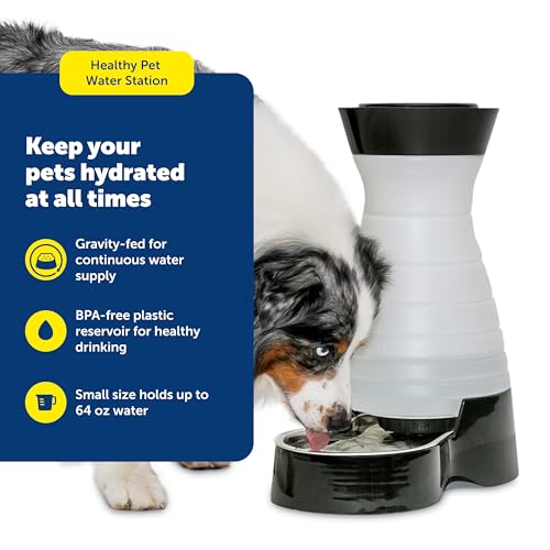 PetSafe Healthy Pet Water Station - Small, 64 oz Capacity - Gravity Pet Water Fountain, Automatic Cat Water Fountain, Dog ...