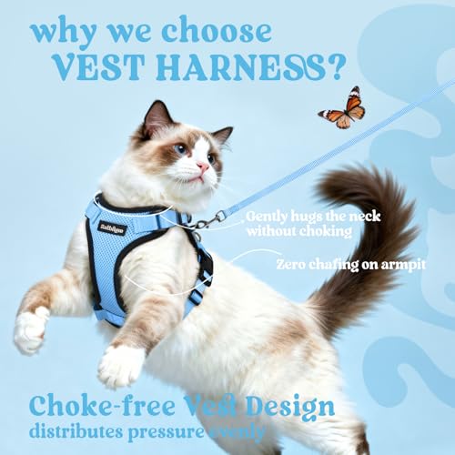 rabbitgoo Cat Harness and Leash for Walking, Escape Proof Soft Adjustable Vest Harnesses for Cats, Easy Control Breathable...