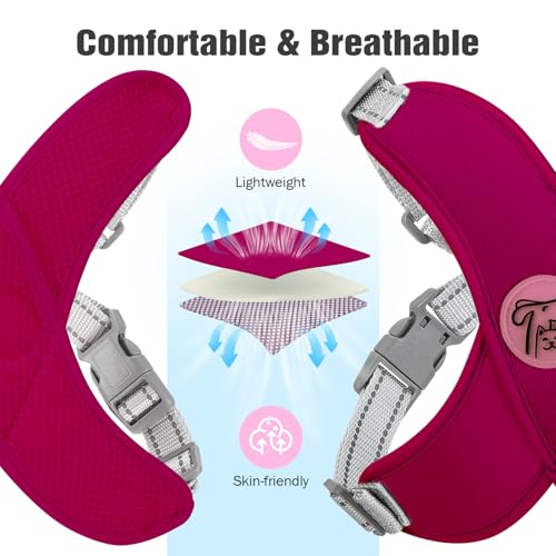 Pawaboo Small Dog Harness and Leash Set, Puppy Harness X-Frame No Pull No Choke, Dog Vest Harness Adjustable for Small Med...