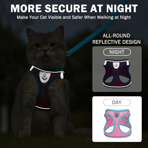 SCENEREAL Cat Harness and Leash Set Escape Proof, Adjustable Soft Air Mesh Kitten Harnesses for Girls Boys Small Medium Bi...