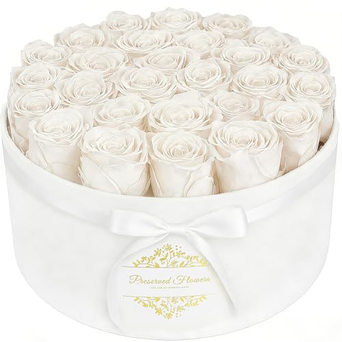 27 Forever Flowers in a Luxury Suede Box, Preserved Roses Birthday Gifts for Women, Romantic Anniversary Wedding Gifts for...