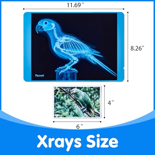 Odoorgames Pet Series Animal Xrays for Kids - Pet X-Rays Set, Light Table Manipulatives, Veterinarian Play Set & Dramatic ...