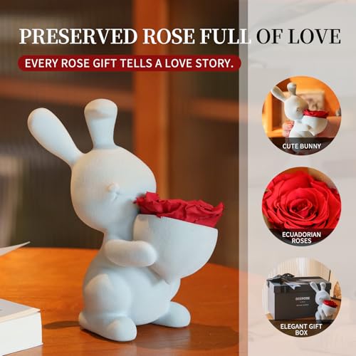 SEEROSE Preserved Rose with Cute Rabbit, Forever Real Rose Last for Years, Romantic Flower Gift for Her, Wife, Girlfriend,...
