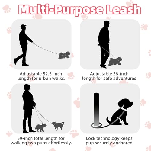 PUPTECK Dog Harness and Leash Set Small Sized, Lightweight Step-in Puppy Harness, Escape Proof No Pull Cute Pet Vest Harne...