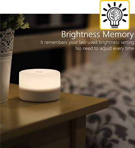 RTSU Bedside Lamp, Dimmable Touch Tap Light Novelty Light, Kids Children Adult LED Nightlight, Table Desk Atmosphere Decor...