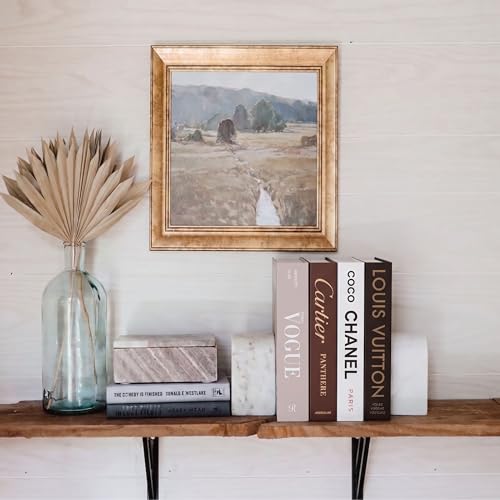 PROBENEX Luxe Large 4 Pcs Faux Decorative Books Set | Not Real Books, Cardboard Foldable Display Props | Modern Designer C...